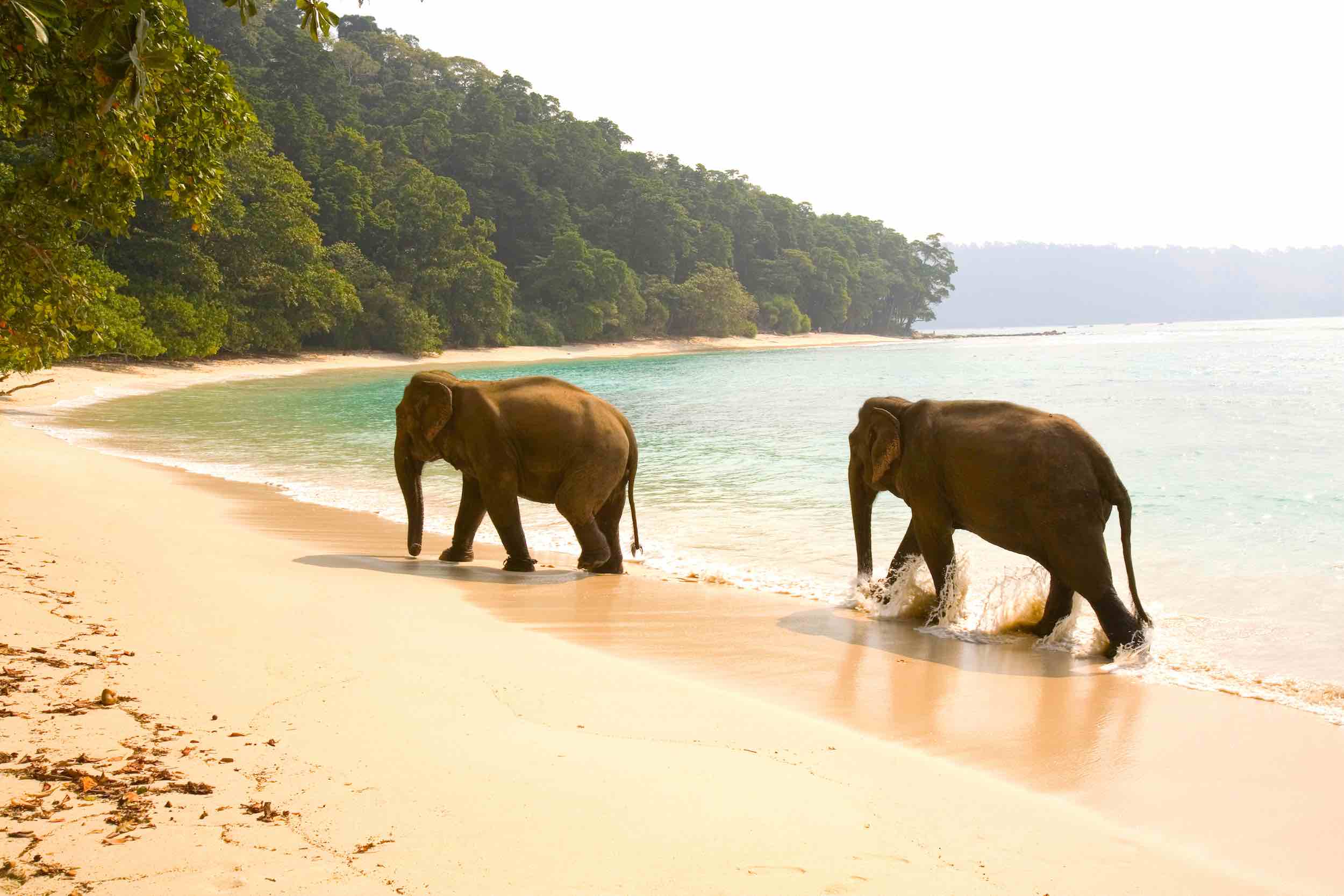 Join Us for an Exploratory Trip to the Andaman Islands - Burma Boating